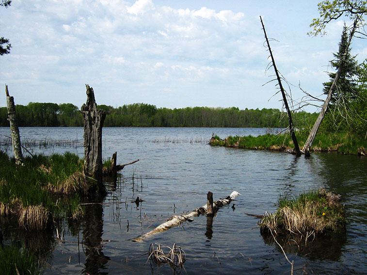 lower-rainy-river-photo lower-rainy-river-photo